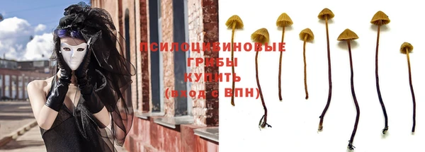 МДПВ Абинск