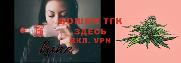 хмурый Абаза