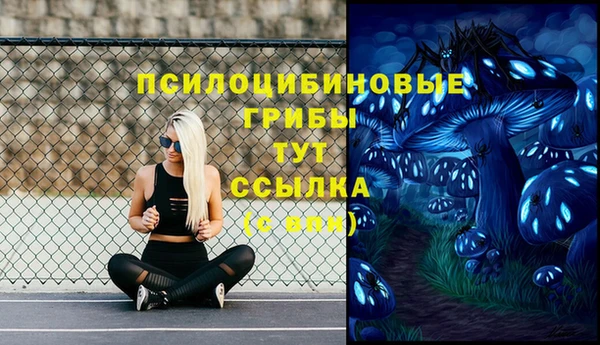хмурый Абаза