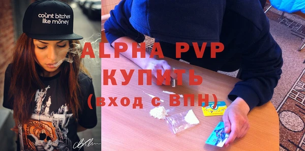 хмурый Абаза