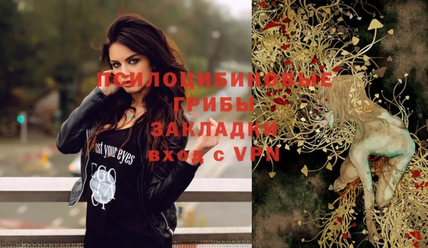 МДПВ Абинск