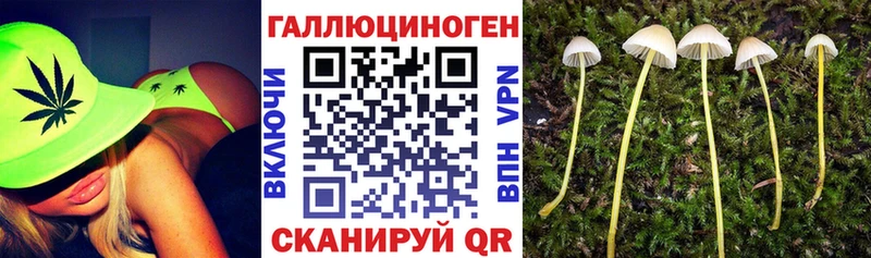 Псилоцибиновые грибы мухоморы  Райчихинск 